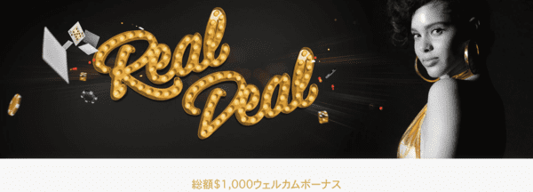 インターカジノボーナス