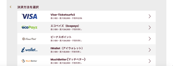 チェリーカジノ入金