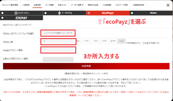 パイザカジノ エコペイズ