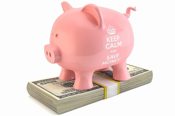 エコペイズ 入金