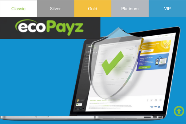 エコペイズ手数料まとめ