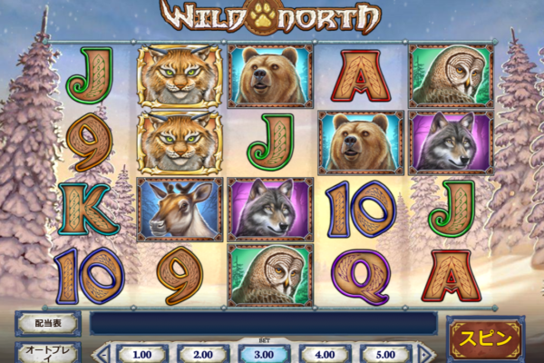 インターカジノ スロット Wild North